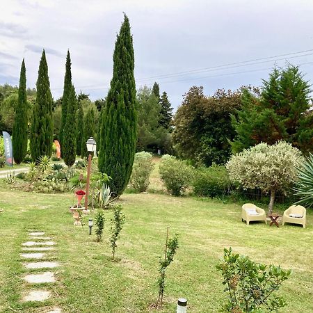 Domaine Des Lavarines Morieres-les-Avignon Extérieur photo