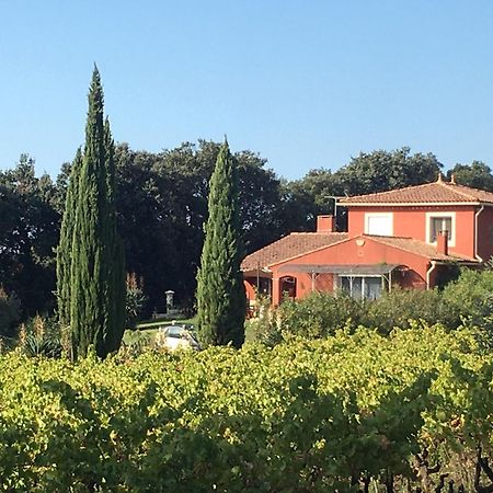 Domaine Des Lavarines Morieres-les-Avignon Extérieur photo