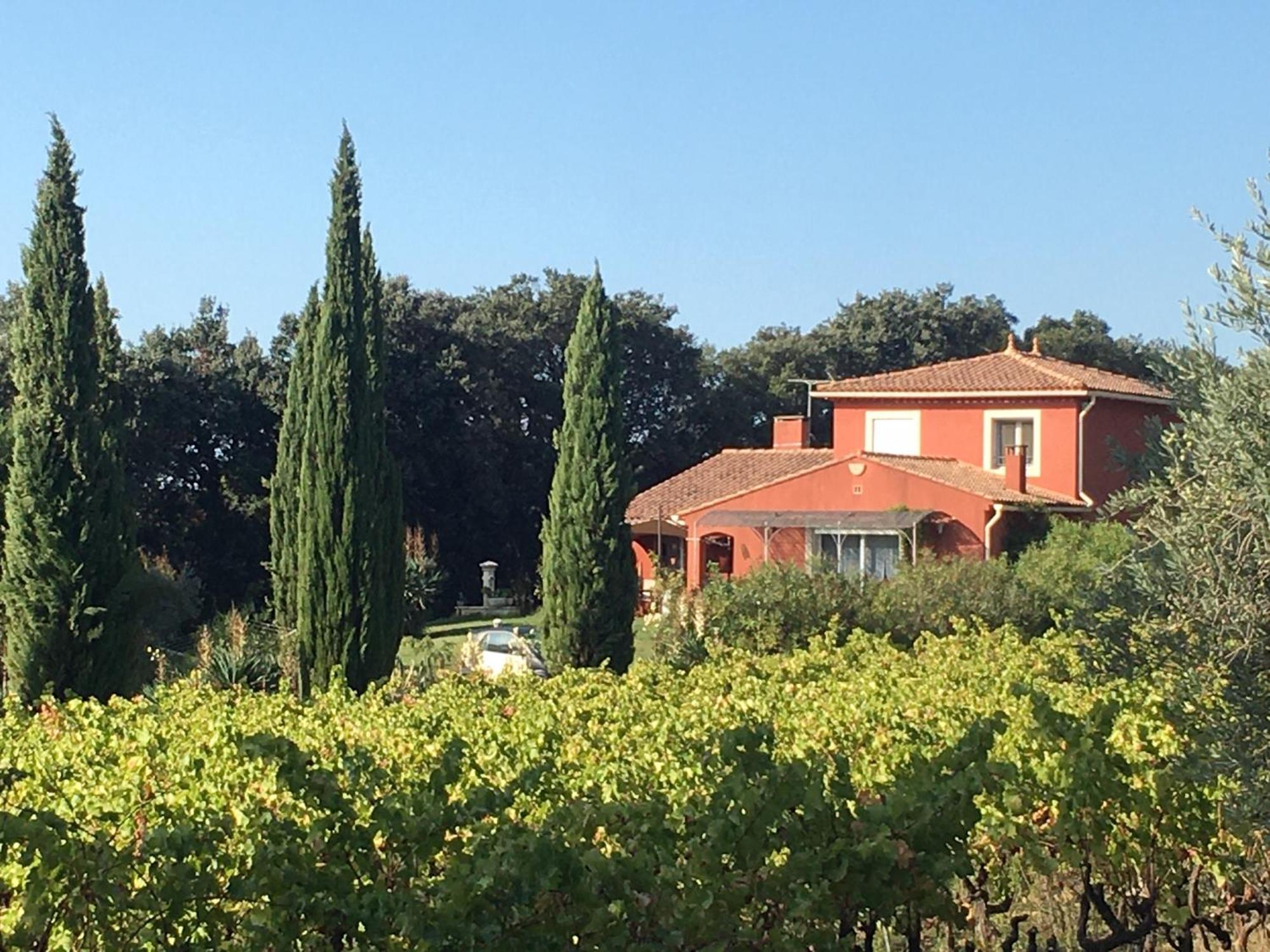 Domaine Des Lavarines Morieres-les-Avignon Extérieur photo